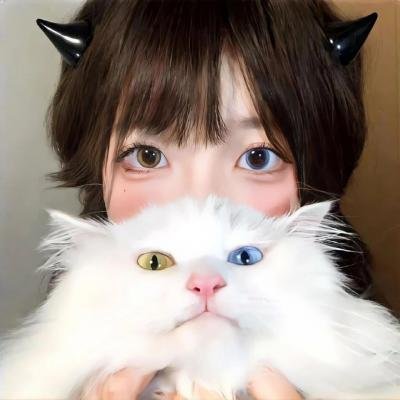 游击恋爱